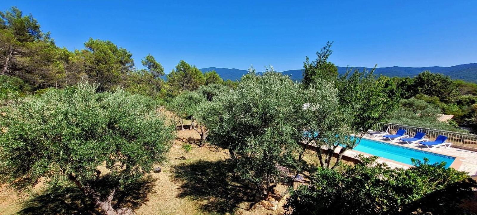 Au Petit Bonheur Villa Carnoules  Buitenkant foto